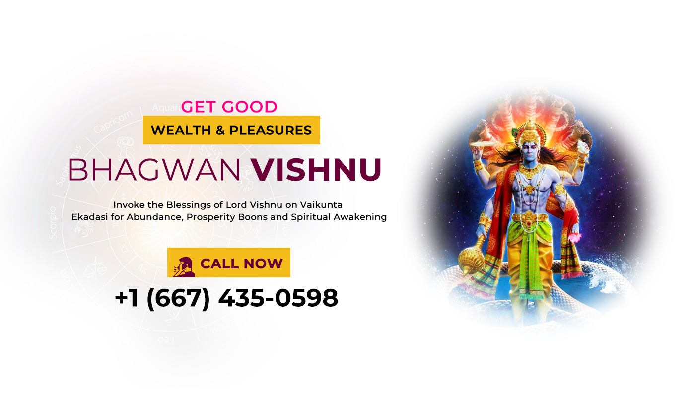 Blessing From Vishnu Bagwan